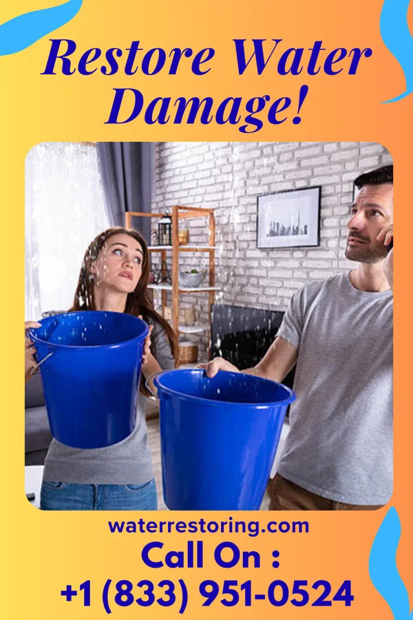 water restoration Expert Cleanup Contractors Knightstown