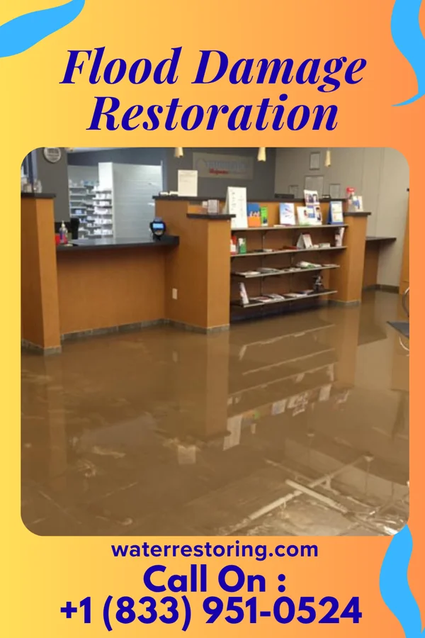 Flood Damage Restoration in Knightstown, IN