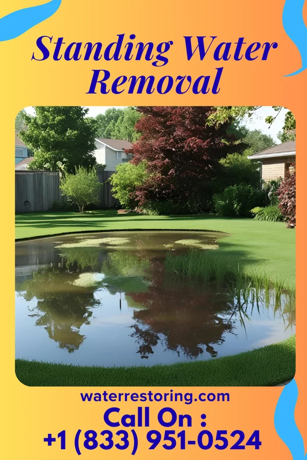 Standing Water Removal in Knightstown, IN